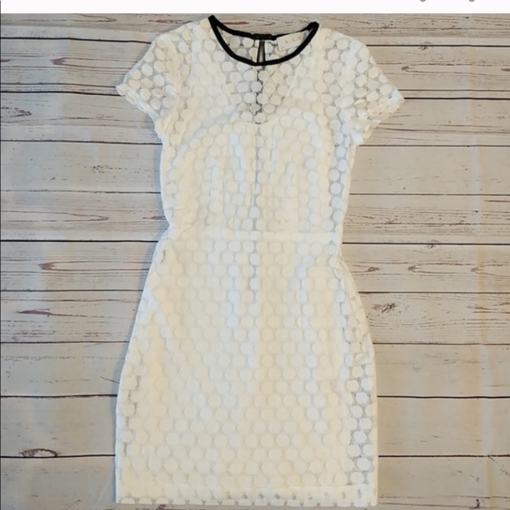 ALC white polka dot lace dress 4